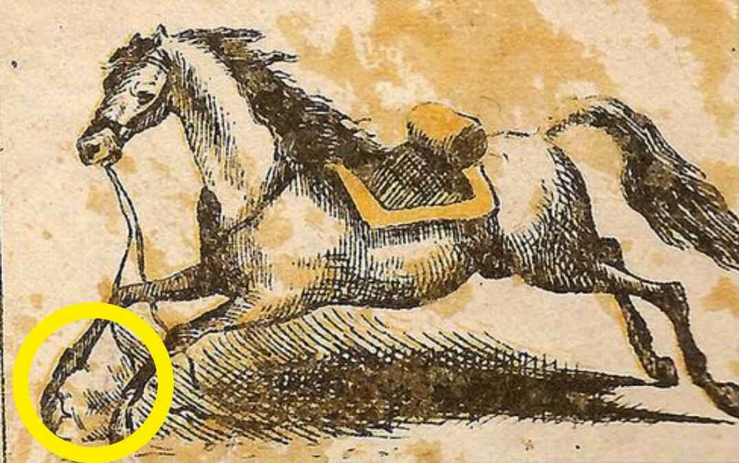 500 kişiden sadece 11’i bulabildi! Atın kayıp jokeyini 9 saniyede bulabilir misiniz?