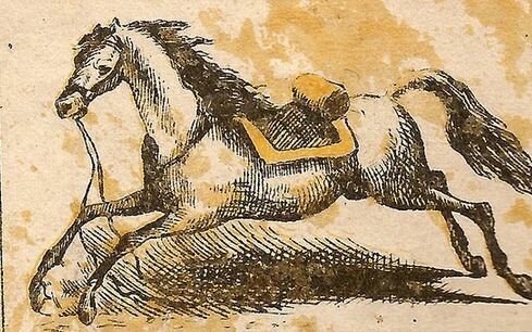 500 kişiden sadece 11’i bulabildi! Atın kayıp jokeyini 9 saniyede bulabilir misiniz?
