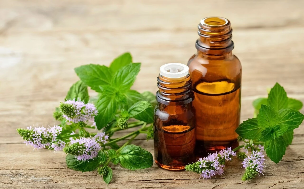 Sinekleri kovan en ucuz ve etkili yöntem! Kokusunu aldıkları an kaçıyorlar