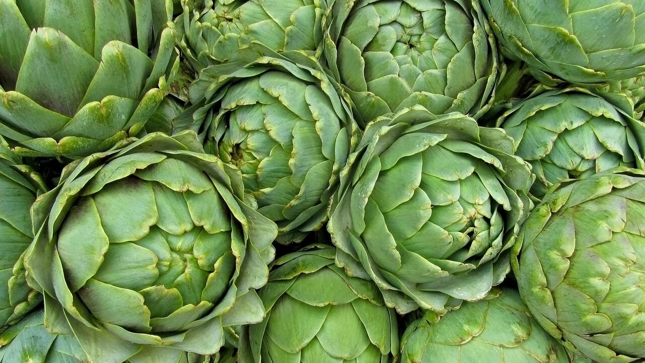 Güzellik merkezlerine para akıtmaya son! Gözaltı morluklarından eser bırakmıyor…