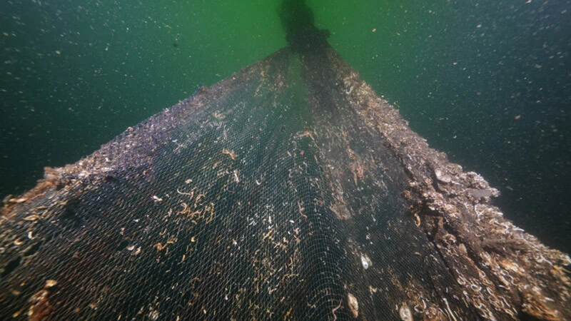 Marmara Denizi'nde 'hayalet ağ' birikintisi! 8 kişilik ekiple 8 günde temizlendi