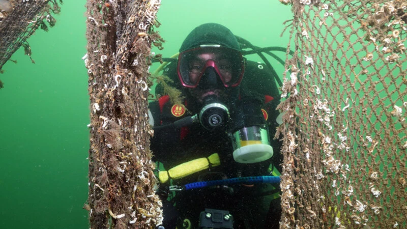 Marmara Denizi'nde 'hayalet ağ' birikintisi! 8 kişilik ekiple 8 günde temizlendi