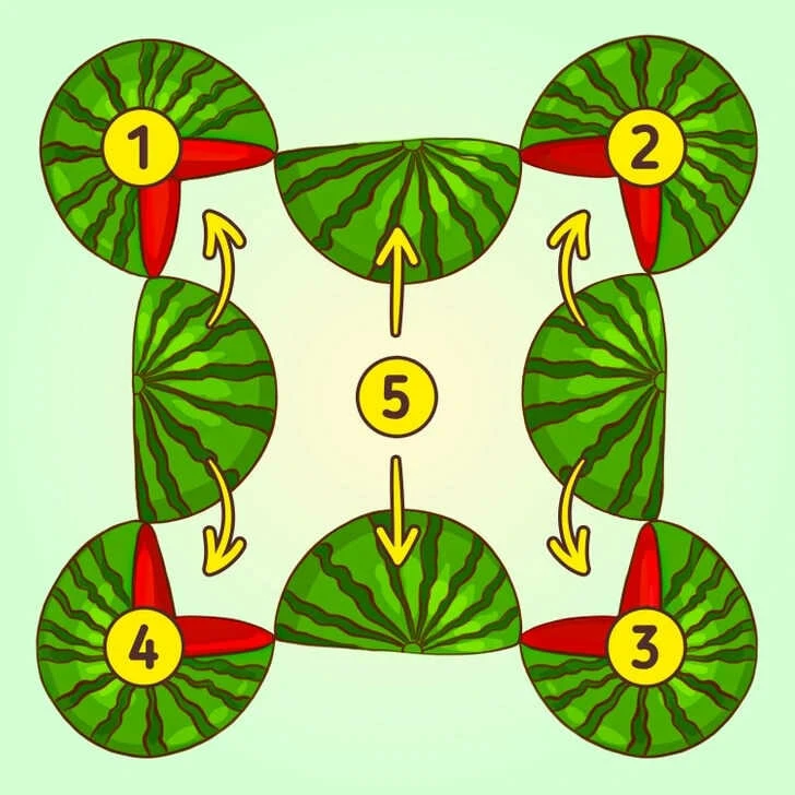 Resimdeki karpuzların sayısını 10 saniyede sayabiliyorsan sen bir dâhisin!