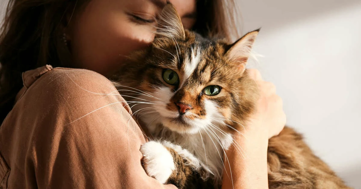 Evcil hayvan besleyenlere kötü haber: Saçlarınızdan olabilirsiniz!