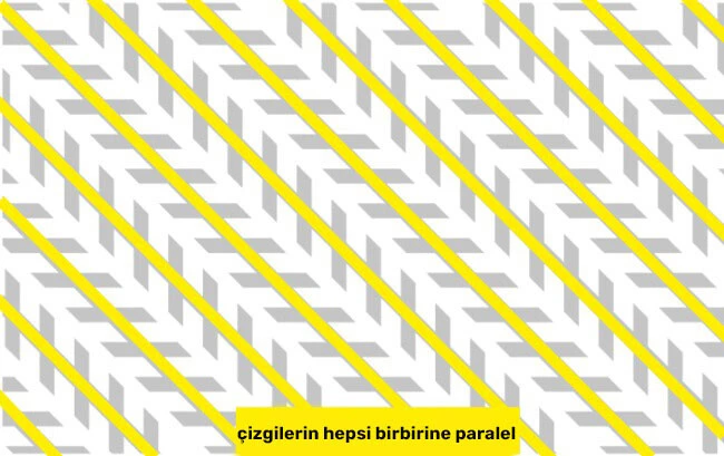 Gerçek bir dahi misiniz? Sadece en zekiler hangi çizgilerin paralel olduğunu 7 saniyede anlayabiliyor
