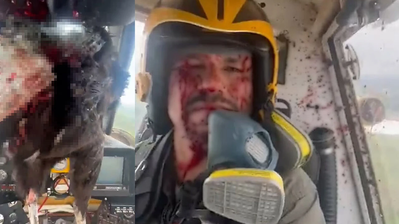 Kartal helikopterin camından girdi pilot kana bulansa da felaket yaşanmadı!