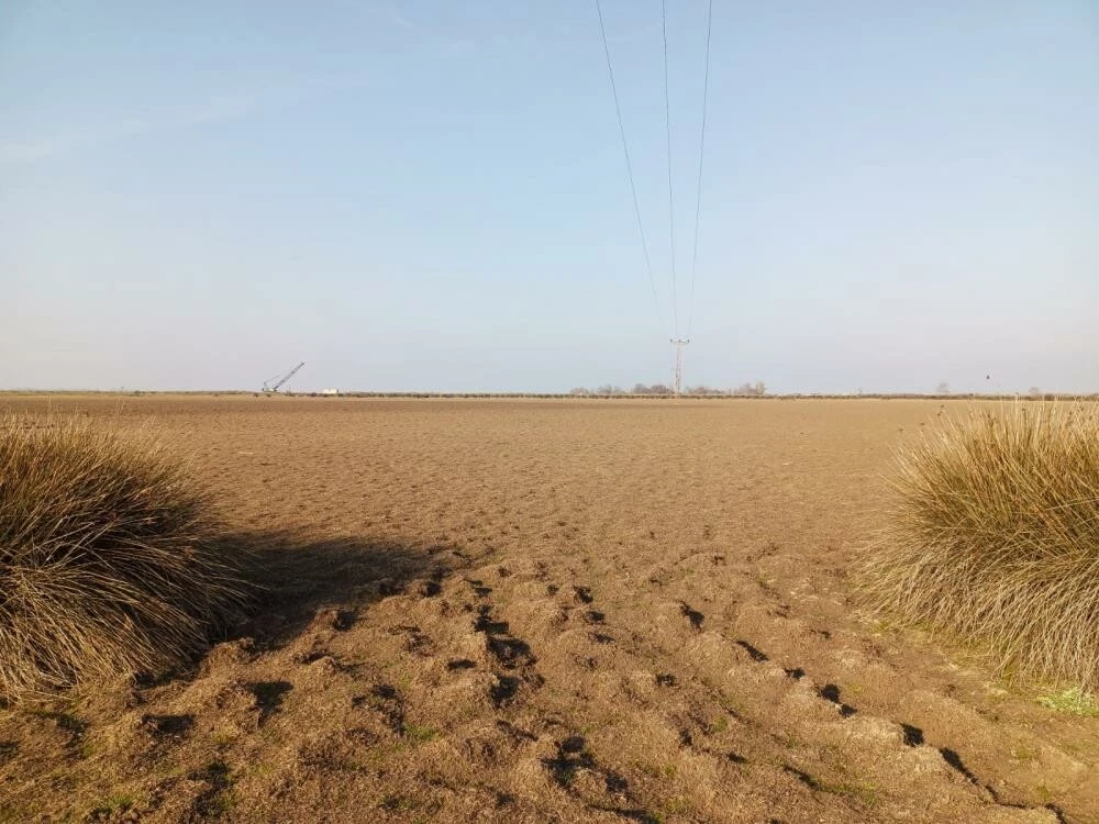 Ülkemizin dörtte biri tehlike altında! Demir: Çölleşmeye karşı topyekün bir iş birliği gerekli