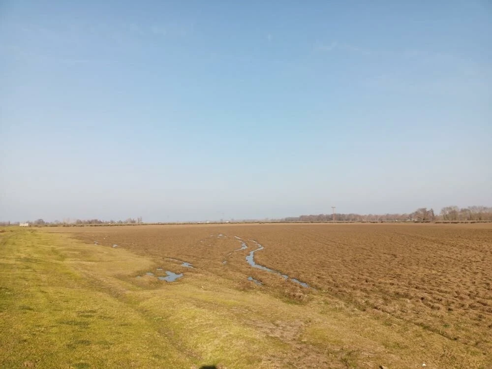 Ülkemizin dörtte biri tehlike altında! Demir: Çölleşmeye karşı topyekün bir iş birliği gerekli