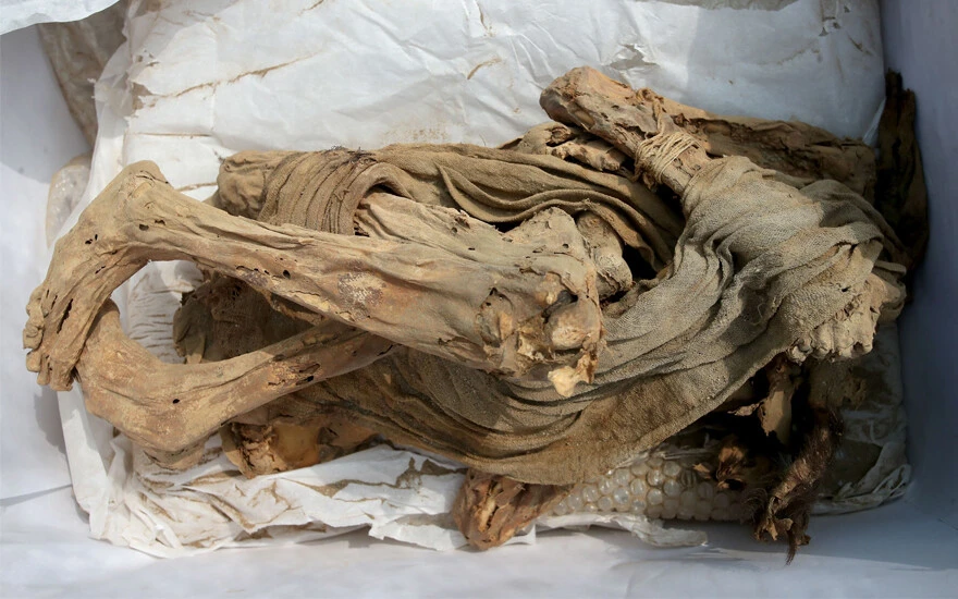 Peru'da mumya keşfi! 3 bin yıldan daha eski