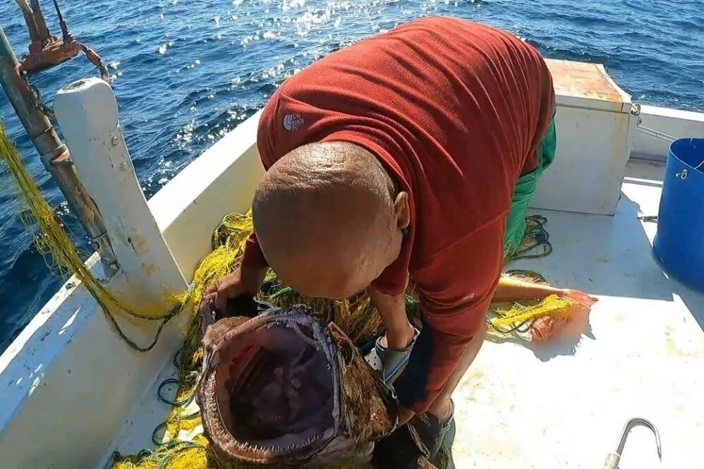 Çanakkale denizinde böylesi görülmedi! Devasa boyutta fener balığı yakalandı