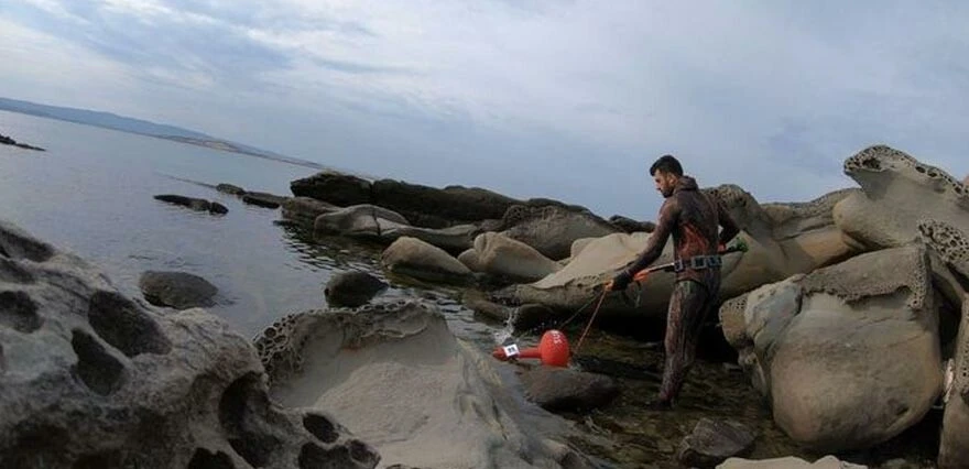 İstanbul'da sahilde zehirli denizanası alarmı! Tam 4 metre... 