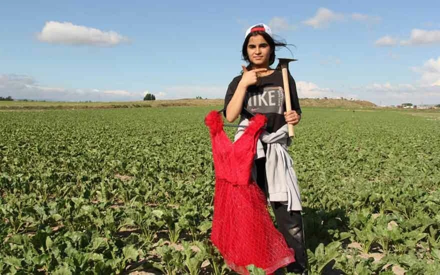 Mezuniyet elbisesi için tarlada çalışıyordu! Narin’e anlamlı jest