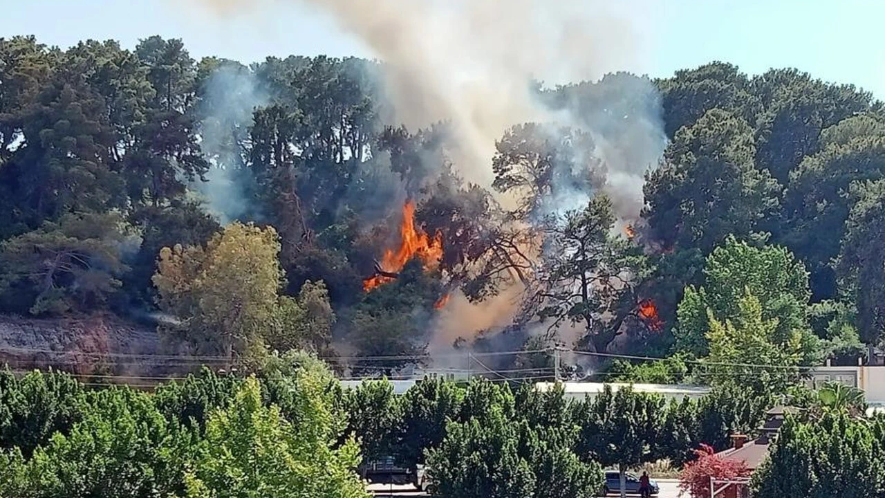 Antalya'da orman yangını: Ekipler seferber oldu, söndürüldü