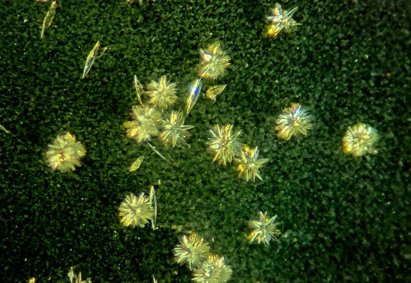 Nobel ödüllü bilim insanı ''çığır açıcı'' dedi... Türk fizikçi, 175 yıllık gizemi çözdü