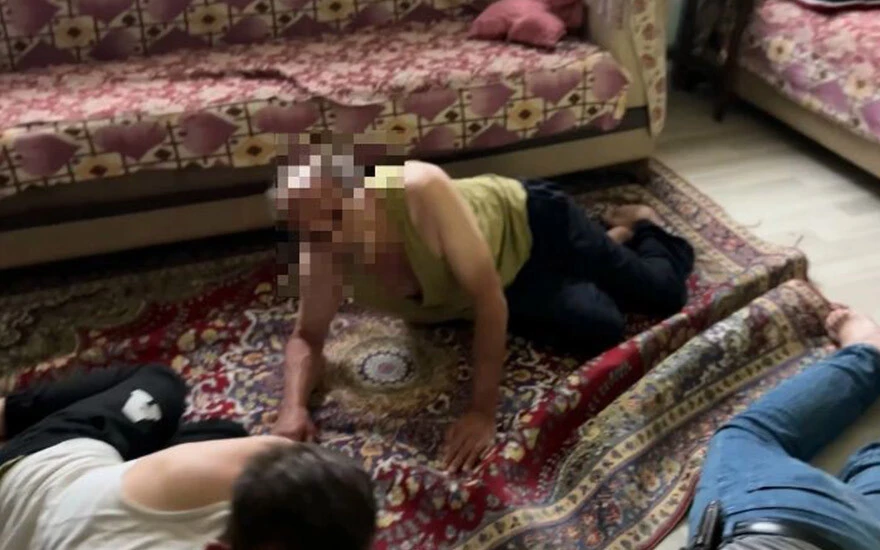 ‘Kukla’ operasyonunda odunluktaki silahlar bulundu: 11 şüpheli yakalandı