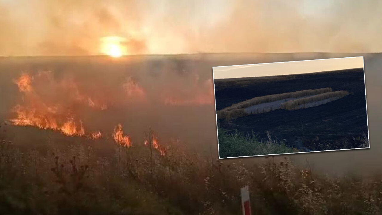 Yoldan atılan izmarit 20 dönüm araziyi küle çevirdi 