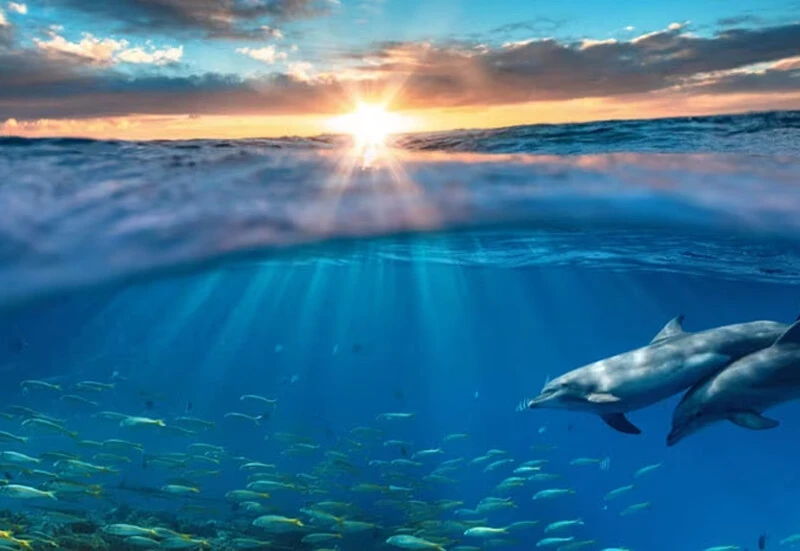 Ay’ı keşfetmek daha kolay: Bilim insanlarından Kayıp Titan sonrası dikkat çeken okyanus açıklaması