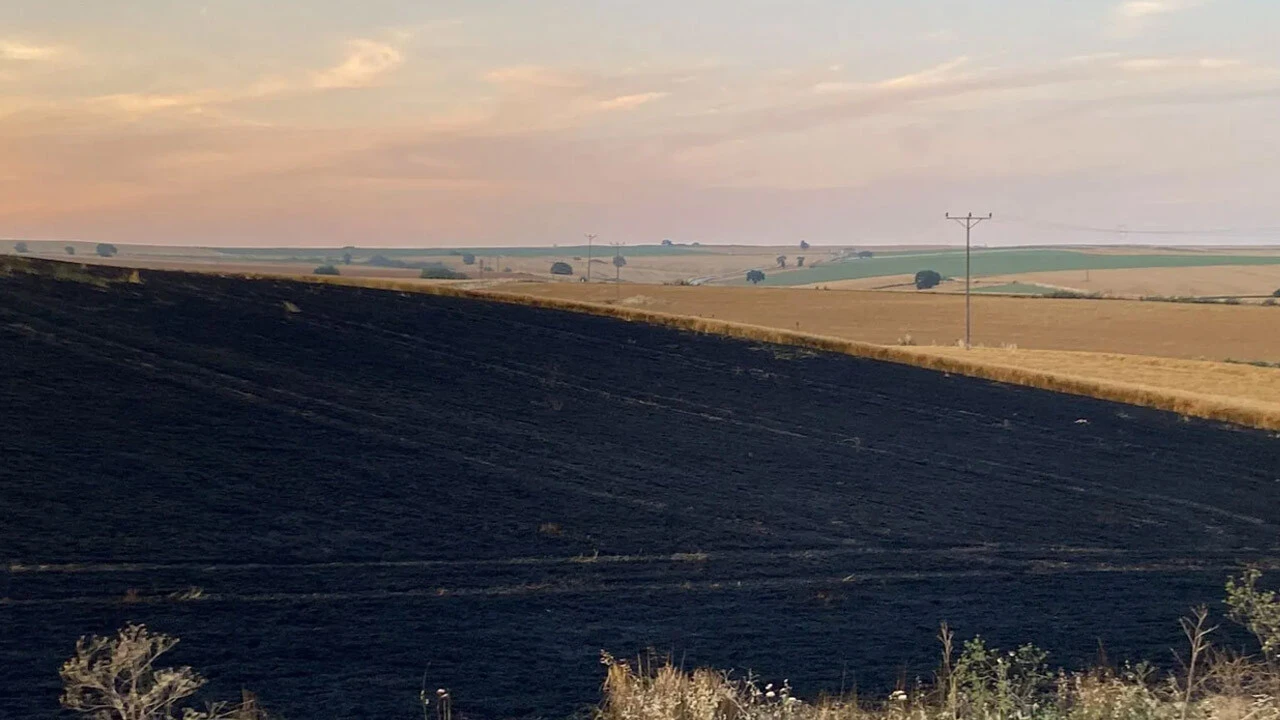 Yoldan atılan izmarit 20 dönüm araziyi küle çevirdi