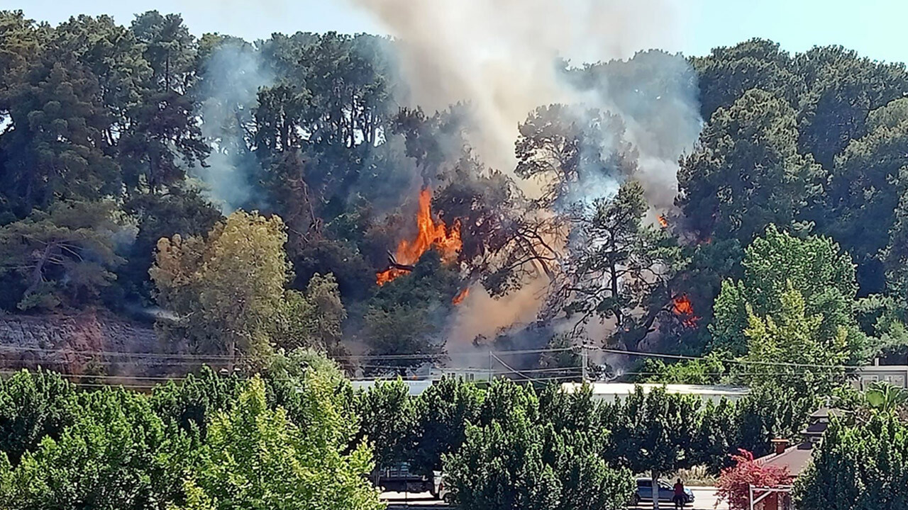 Antalya Kaş&#039;ta orman yangını