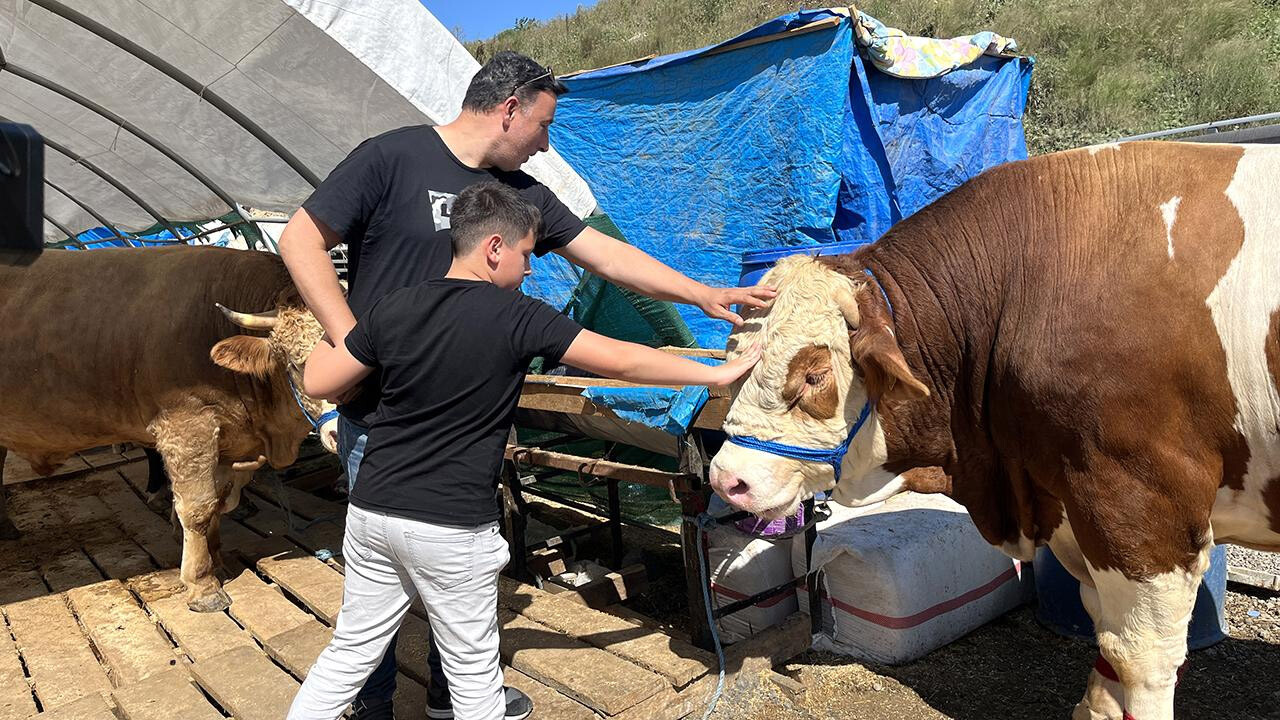 Kurbanlıklar elde kaldı! Besiciler 9 gün tatilden dert yandı