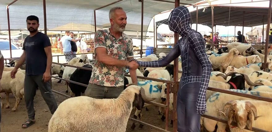 Yer Adana… “Örümcek Adam” kurbanını pazarlık yaparak aldı…
