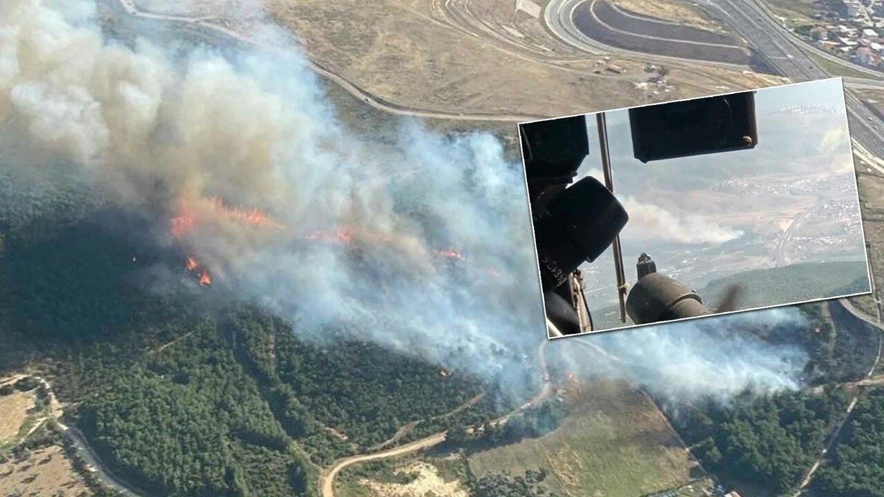 İzmir'de ormanlık alanda <a href=