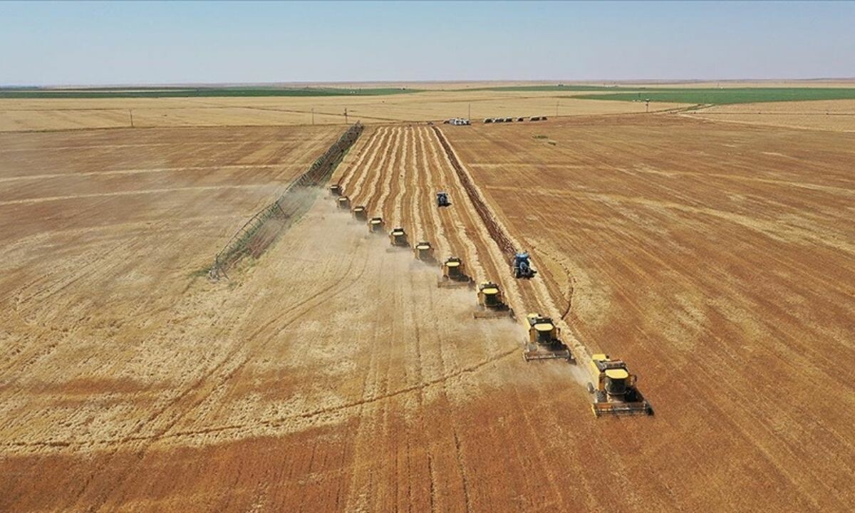 Türkiye tarımda konumunu sağlamlaştırdı! Dünyada stratejik ortak olarak görülüyor