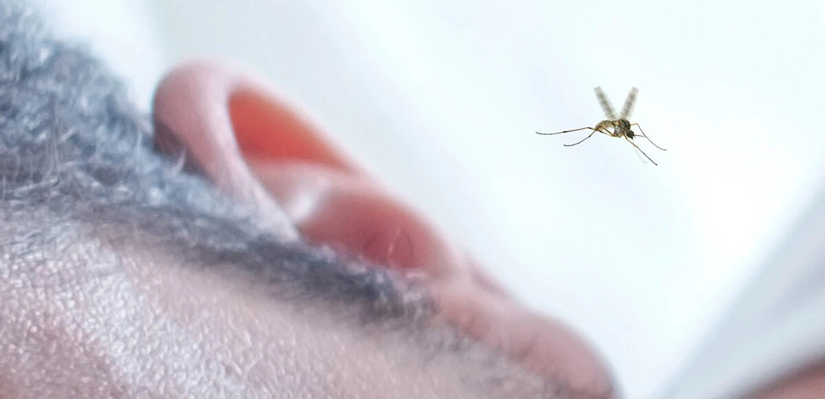 Oxford araştırmacısı sivrisineklerden korunmanın en etkili yollarını açıkladı