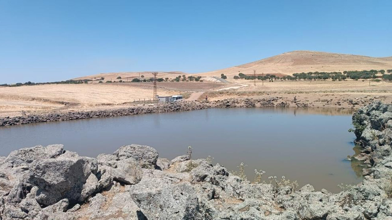 Diyarbakır&#039;da kahreden olay! 2 kardeş boğularak can verdi