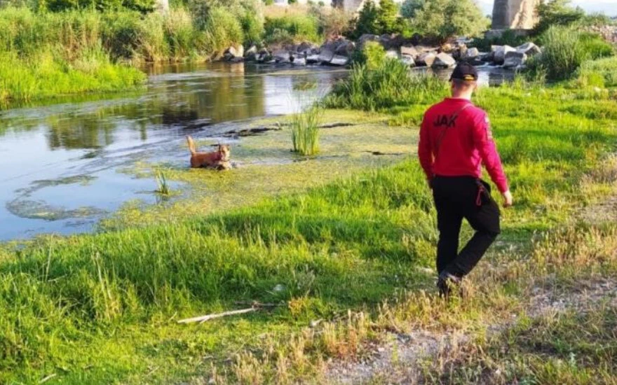 Kayıp ekonomist en son Gönen Çayında görüldü! Ekipler oraya sevk edildi…