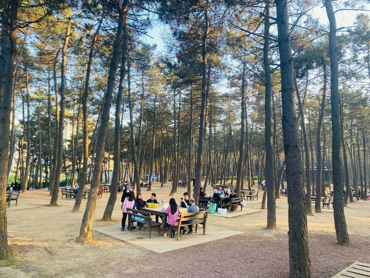 Ümraniye Millet Bahçesi rekora koşuyor! Belediye Başkanı Yıldırım: İyi hizmet bizi motive ediyor