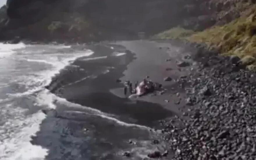 Bilim dünyası şaşkına döndü! Son derece nadir bulunuyor… Ölen balinanın bağırsaklarından servet çıktı