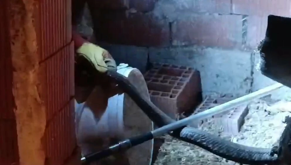 Türkiye’nin en zehirli yılanı yakalandı! Özellikle o bölgede sıklıkla görülüyor…