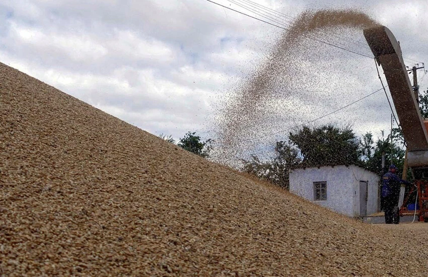 Macaristan, Türkiye'nin tahıl koridoru çabalarından memnun!