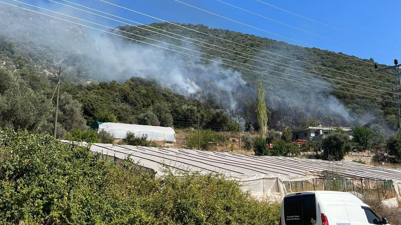 Kaş'ta yerleşim yerine yakın bölgede korkutan yangın!