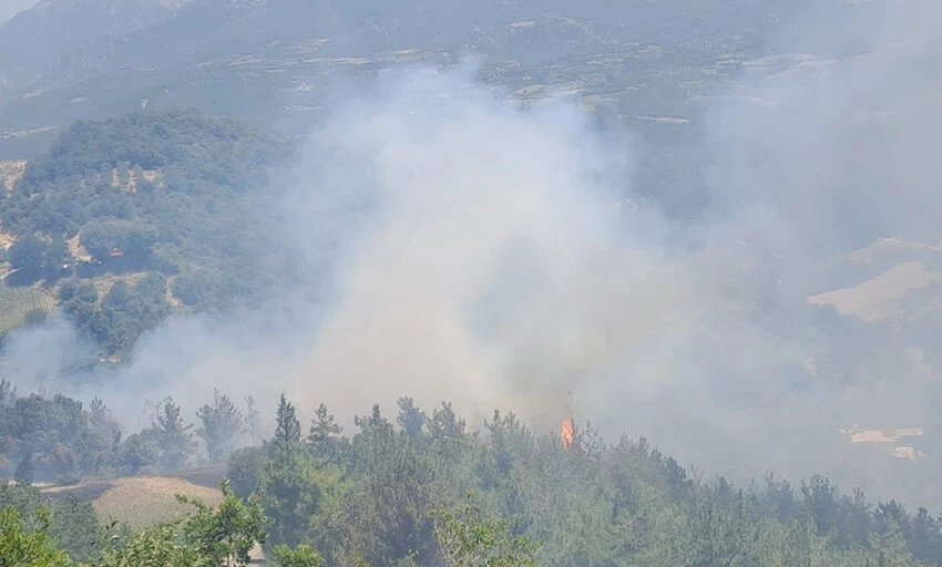 orman yangını Osmaniye'deki yangın rüzgarın da etkisiyle kısa sürede büyüyor.
