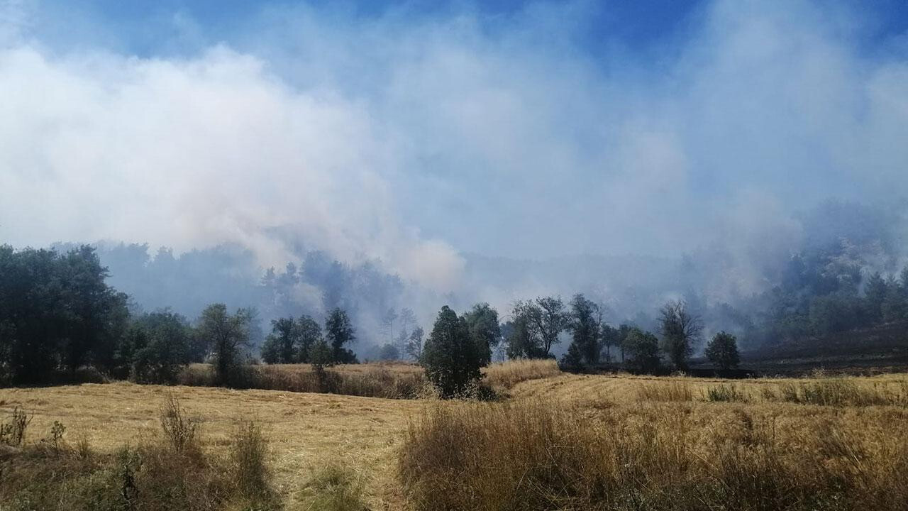 Son dakika! Bolu&#039;da orman yangını: Alevler kontrol altına alındı