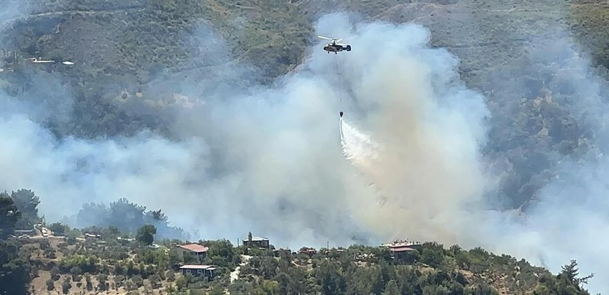 Hatay'da orman yangını