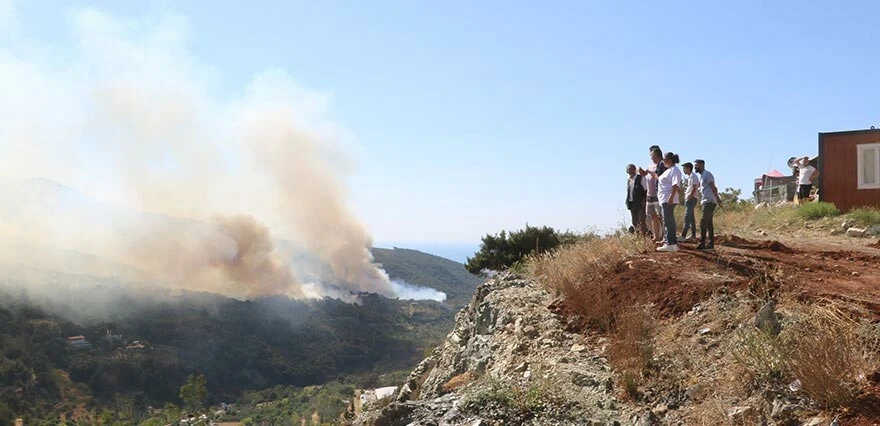 Hatay'da orman yangını