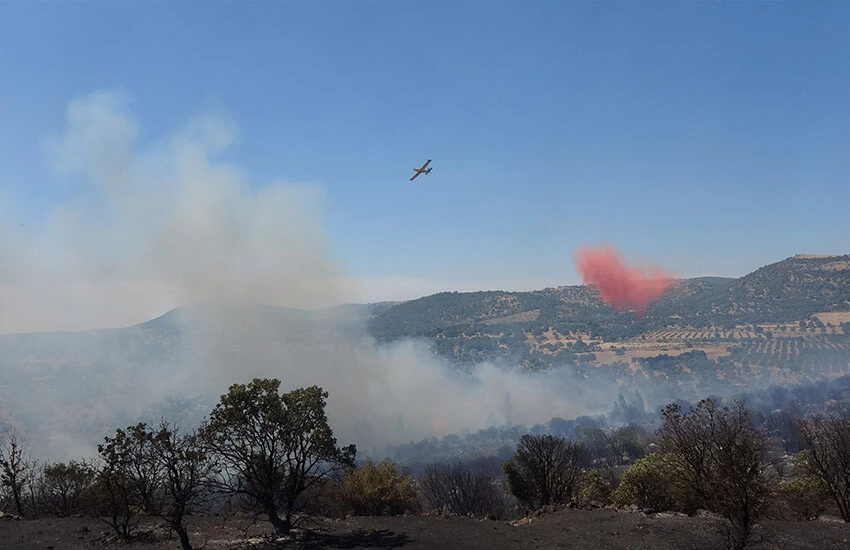 Tekirdağ ve Çanakkale'de çıkan orman yangınlarından dolayı bölgedeki vatandaşlar tahliye ediliyor