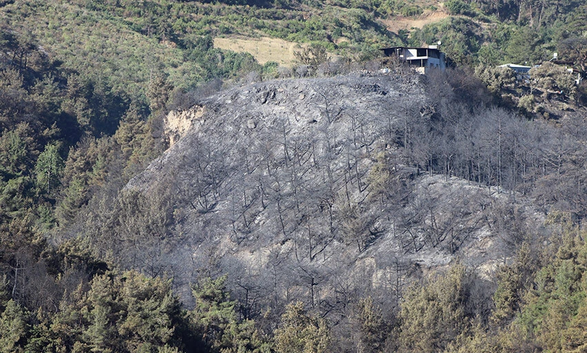 Türkiye'nin ciğerleri yanıyor! Mersin kontrol altında, Çanakkale ve Hatay'daki orman yangınında ekiplerin zamanla yarışı sürüyor