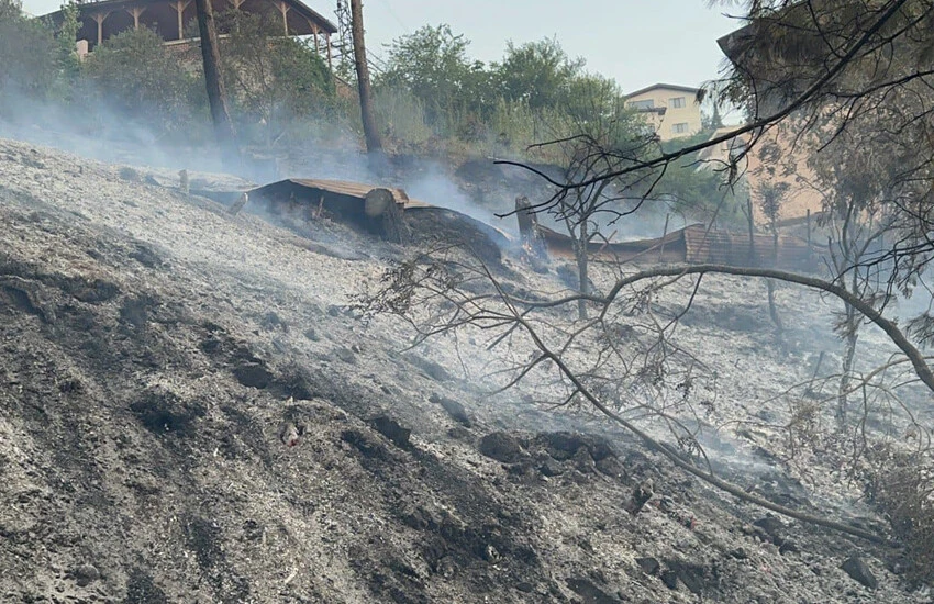 orman yangını Son dakika! Hatay’daki <a href=
