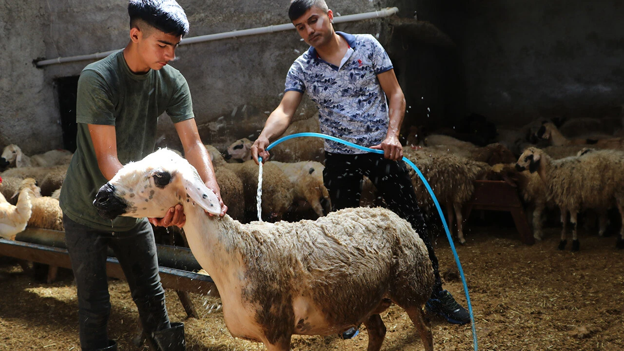 Adana'da sıcaklık 52 dereceyi buldu