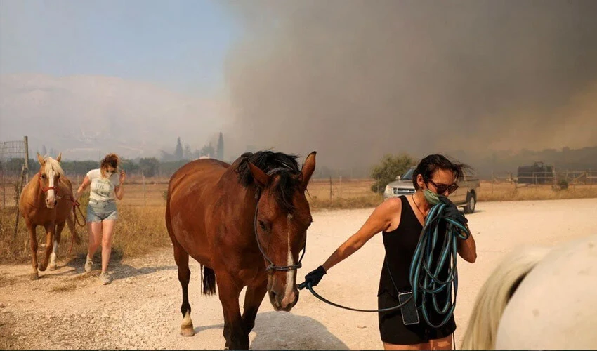 Yunanistan'da orman yangınları evlere sıçradı! 81 farklı nokta yanıyor