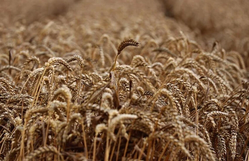 Rusya Ukrayna Devlet Başkanı Volodimir Zelenskiy, Rusların Odessa, Jitomir ve diğer bölgelere yönelik saldırılarına ilişkin bilgi verdi.