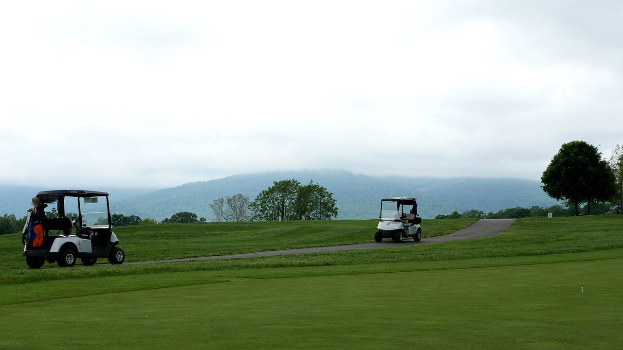 3 yaşındaki çocuk golf arabasıyla 7 yaşındaki abisini öldürdü