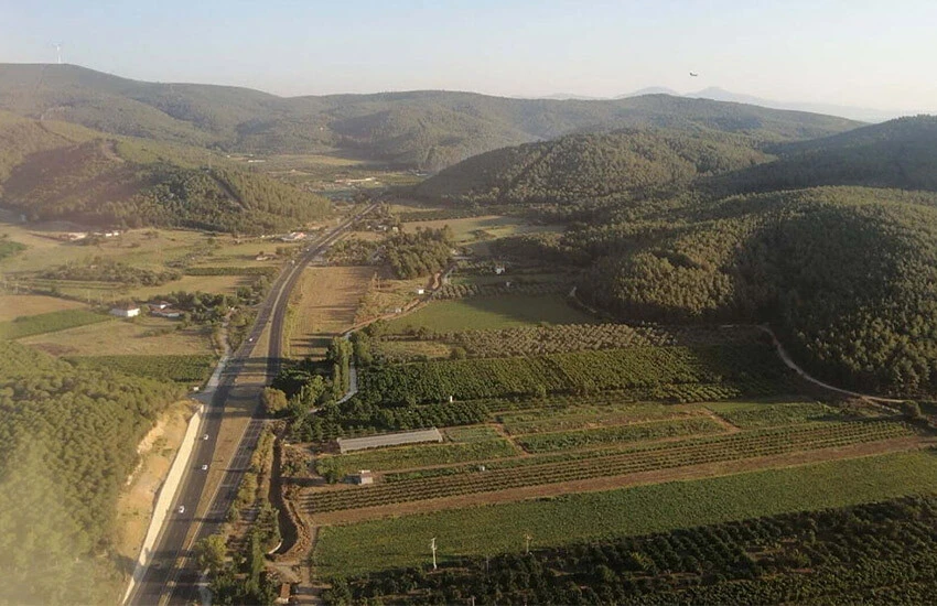 Orman yangınları peş peşe çıkıyor: İzmir'de alevler yükseldi