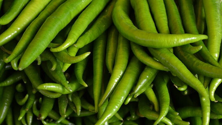 Bildiklerinizi unutun! Türk Dil Kurumu bazı sözcüklerin yazımını değiştirdi