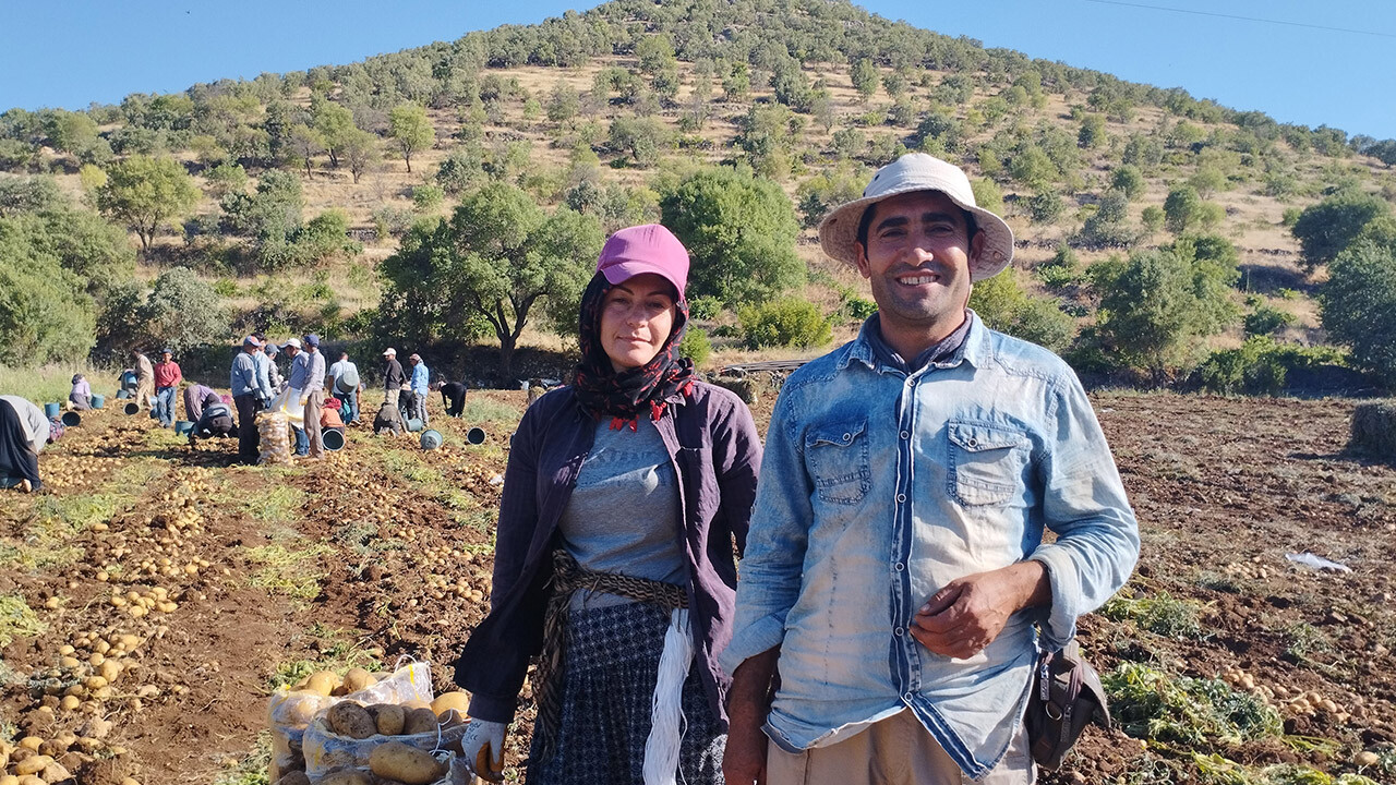 Patates tarlasında çalışan işçilerin mesaisi gece 02.00’de başlıyor