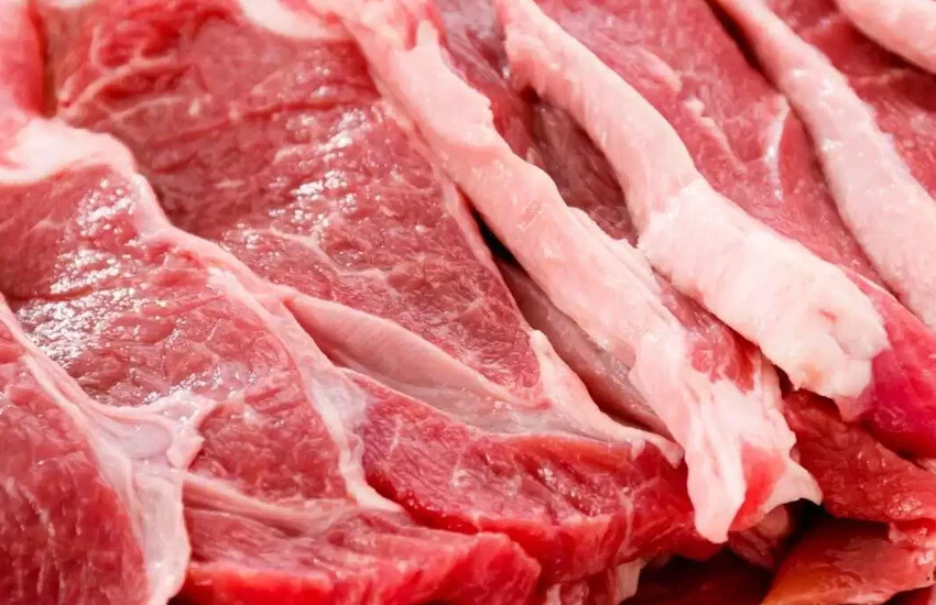 Suudi Arabistan’ın protein ihtiyacını Türkiye karşılayacak